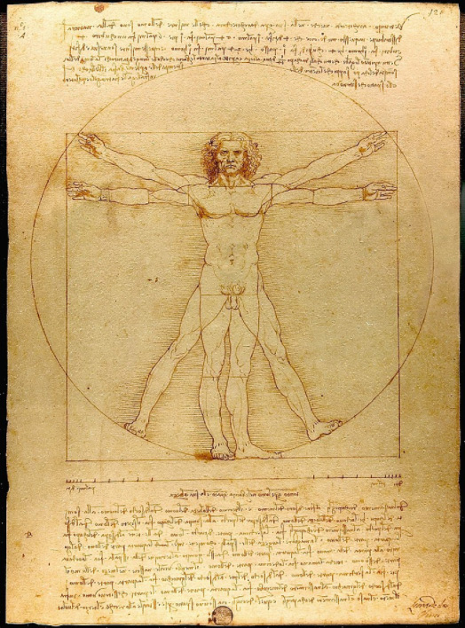 The Vitruvian Man (c. 1485) Accademia, Venice